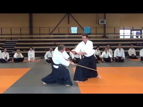 Stage L3 Luc Mathevet Avril 2016