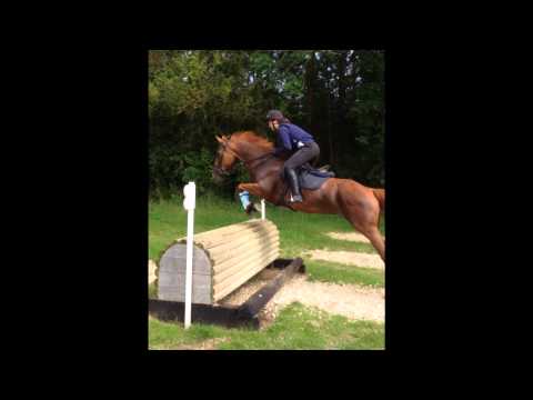 Video 7 - Ginge (A Thousand Years)