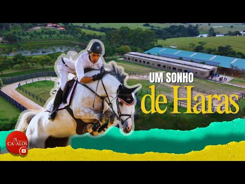 A Dream of a Stud Farm, an equestrian project designed for the Brazilian Sport Horse (BH). Get to...