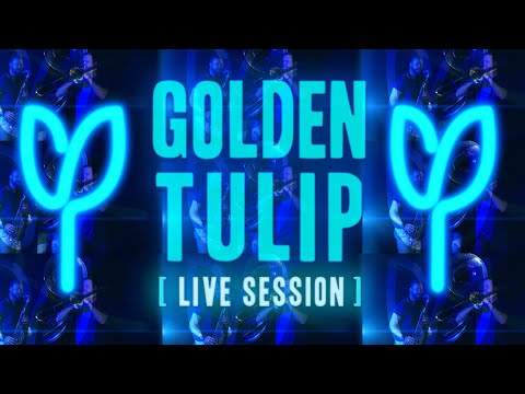 Huntertones - "Golden Tulip" [Live Session]