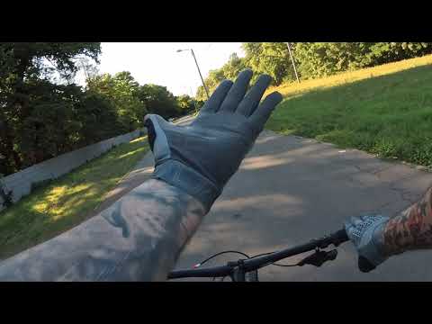 Prin Padurea Verde la Dumbravita Lac August 2025