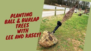 Planting Ball and Burlap Trees