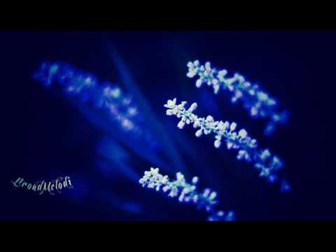 Brandyn Burnette x Win & Woo - Underneath