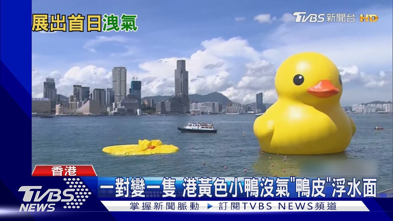 一對變一隻　港黃色小鴨沒氣「鴨皮」浮水面