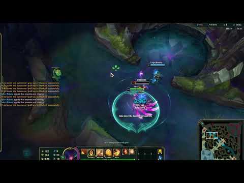 Rakan w bug