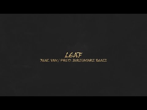 Steciu - LEAF feat. VAN (prod. Skrzyniarz Beatz)
