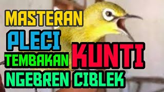 Download lagu MASTERAN PLECI TEMBAKAN KUNTI NGEBREN CIBLEK... mp3