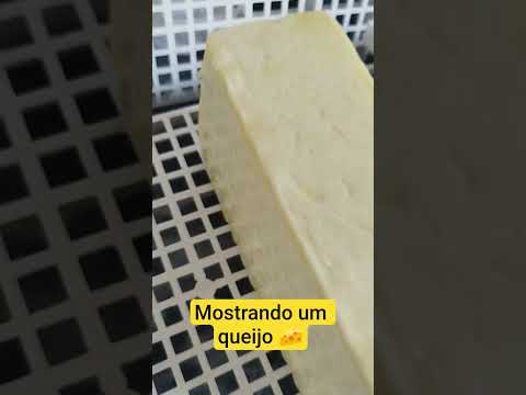 queijo 🧀