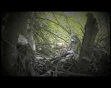 DEC - DESTRUCCION EN CADENA - SENTENCIADOS