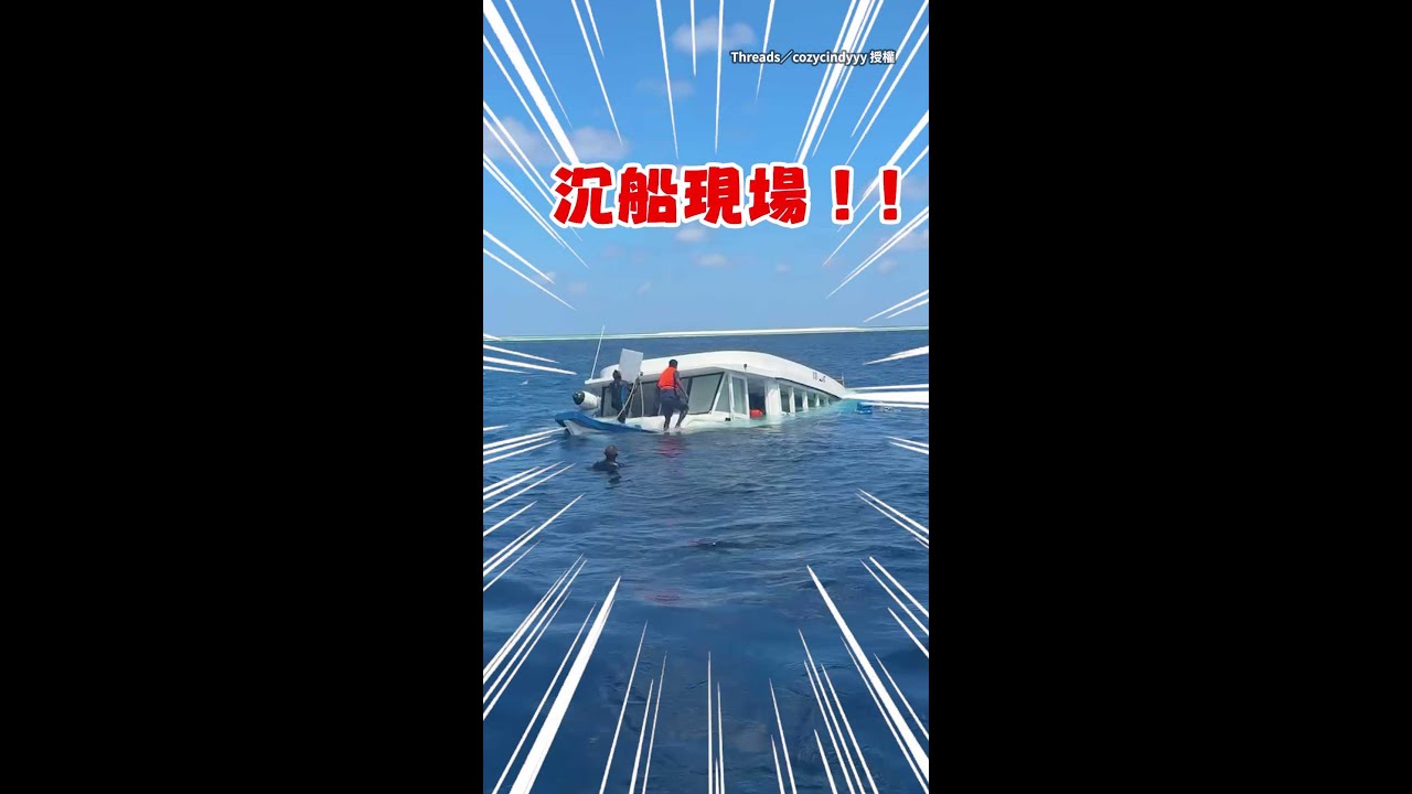 【自備沉船】馬爾地夫潛水後船撞上變沉船！秒變新潛點 #Shorts