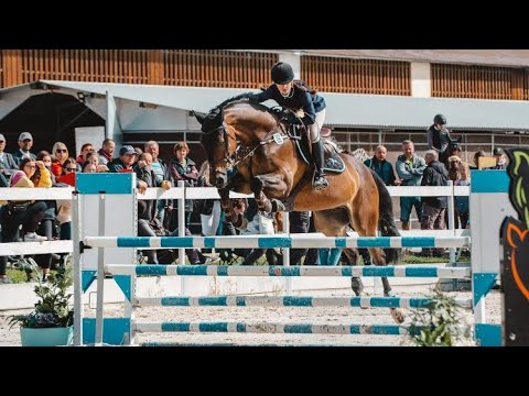 *120 JUNIOR JUMPER*FALIENK, 2010, KWPN, by Garanco (Jasper)