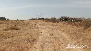  Agricultural Land for Sale in MIDC Kurkumbh, Pune