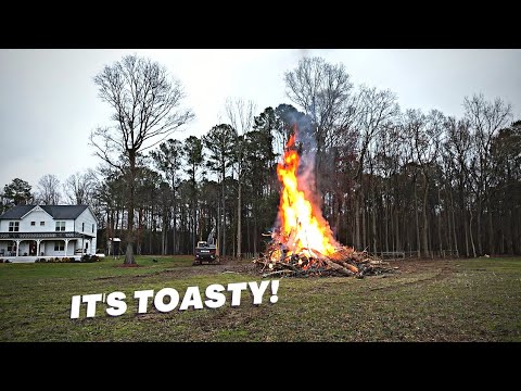 Removing Some Leaning Trees