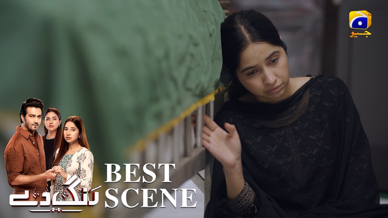 Rang De Episode 28 | 𝐁𝐞𝐬𝐭 𝐒𝐜𝐞𝐧𝐞 𝟎𝟑 | Sabeena Farooq - Shahzad Sheikh - Azfar Rahman | Har Pal Geo