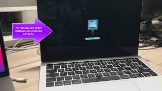 How to remove Mac firmware password without data loss? (Remove Mac padlock for Macs / Macbooks)