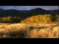 Howard Jones -Natural