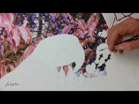 'Lecythis pisonis and Hyacinth Macaw' in watercolor - Part 4