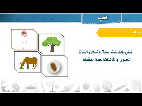 فيديو تعليمي