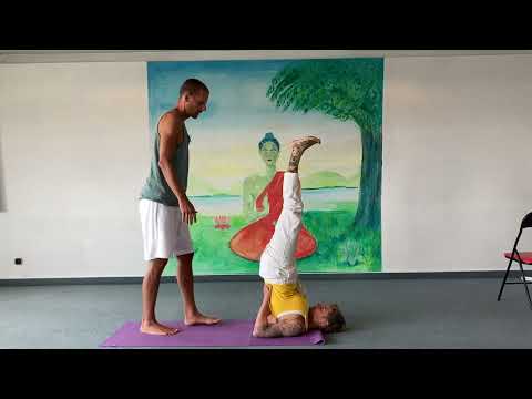 Schulterstand und Pflug Anleitung und Hilfestellungen