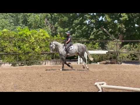 LaRock RC video 1