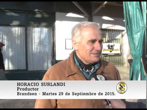 29-09-15 Nota Horacio Surlandi - Genètica del Este y Jauregui Lorda - Brandsen.