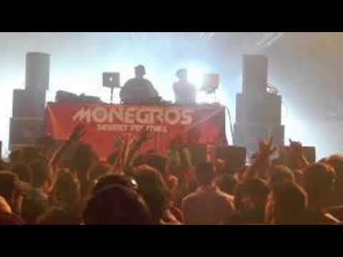 Sutura   Nature One 2014 Pydna