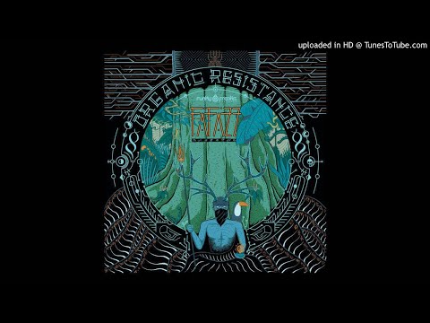 Argaleth & Fafazz - Anicca