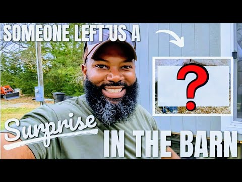 This Caught Us All By Surprise!!! | BUILDING OUR 1ST GENERATION FARM {Debt Free} 