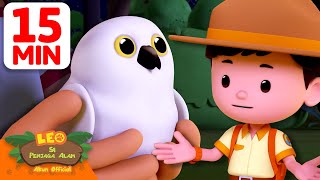 Download lagu Kami melihat bayi burung hantu salju?! 🦉 | 15 Menit | Leo Si Penjaga Alam | #hewan mp3