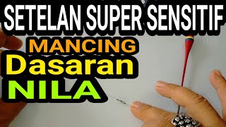 Download lagu SUPER SENSITIVE.. Bottom fishing settings for BABON NILE fish mp3