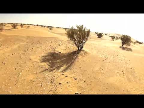 6 TUNISIA HUSKY 350 2019