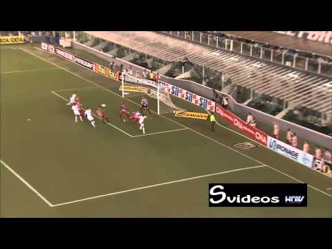 HD - Gols Campeonato Paulista 23/012013 - Santos 3 x 0 Botafogo-SP