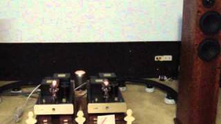 Linn LP12 + Ekos SE "Carol Kidd"