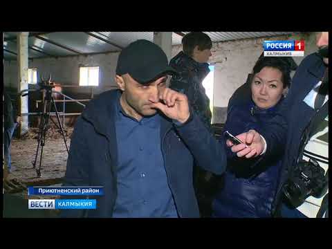 Вести «Калмыкия»: вечерний выпуск 27.04.2018