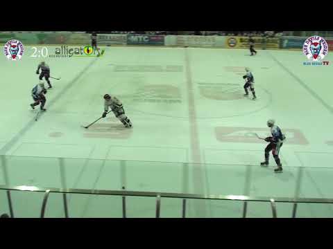 Zusammenfassung Blue Devils Weiden - Höchstadt Alligators (5:1; 01.03.2019)