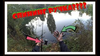 Ссылка