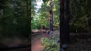 Timothy Lake Trail -- log launch fail