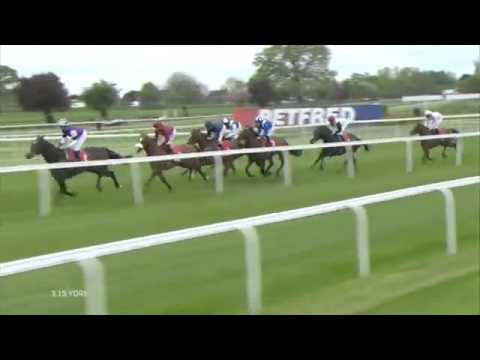 2015 Betfred Dante Stakes  Group 2  York