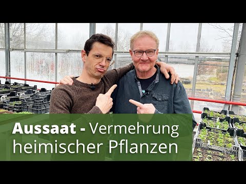 Sowing - Propagation of native plants