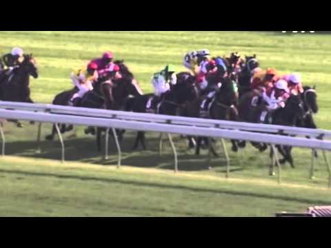 2004 ATC Derby- Starcraft