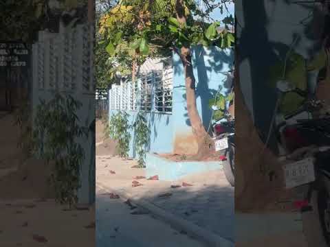 Así fue la visita al cantón los Espinos, San Buenaventura Usulután Norte. 