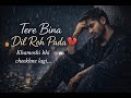 Tere Bina Dil Roh Pada Emotional Sad Night Song Feel The Pain Heart Touching