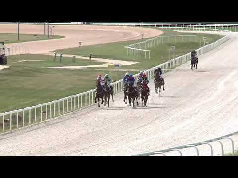 2020.08.02. 02. futam - NYERETLENEK VERSENYE (V.kat.) (szintetikus pálya)