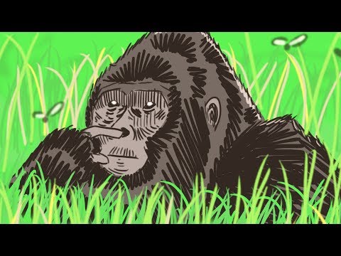 Every Animal Documentary Ever