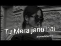 Tu Mera Janu Hai Slowed Reverb Song Instagram Trending Song By Surajjadhav806