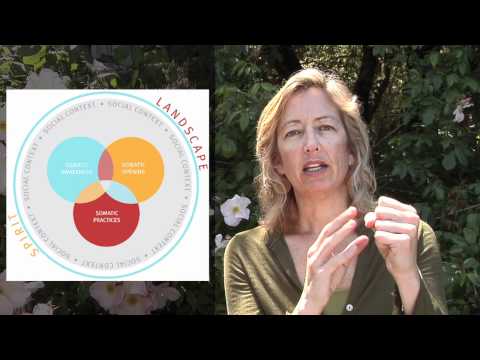 Somatic Transformation -  Strozzi Somatics