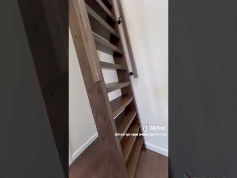 LB1162 - Video 2 of 2