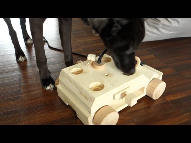 Hundespiele.ch Hundespiele aus Holz Auto - kaufen bei Galaxus - Galaxus