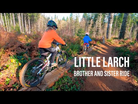 MTB Family Shuttle Capitol Forest WA