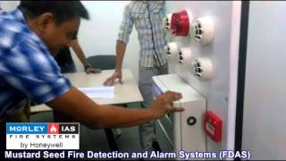 Mustard Seed Morley by Honeywell Fire Detection Alarm SystemFDAS Mustard Seed Morley by Honeywell Fire Detection Alarm SystemFDAS